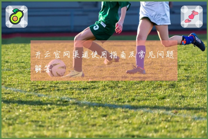 开云官网渠道使用指南及常见问题解答
