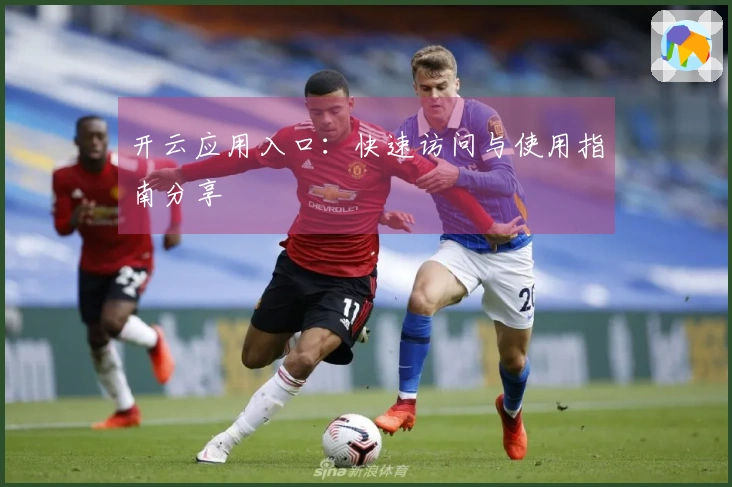 开云应用入口：快速访问与使用指南分享